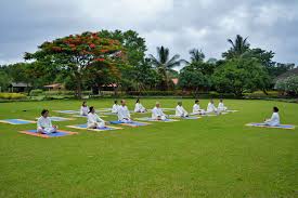 Digital Marketing for Wellness & Yoga Centre in South Delhi