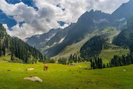 visit to Kashmir 